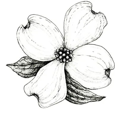 Dogwood Lawns Logo