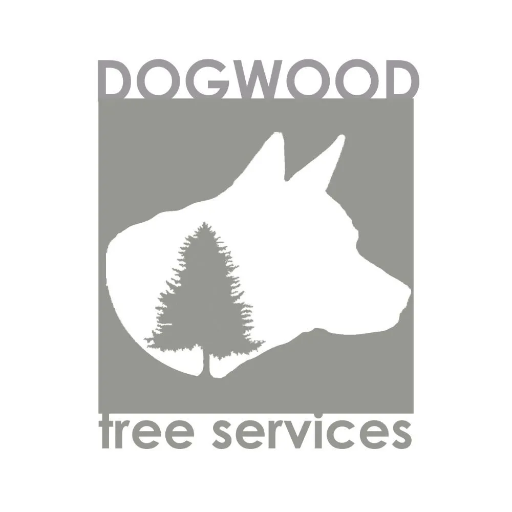 Professional landscape design for residential properties across Falcon, CO - Dogwood Tree Services