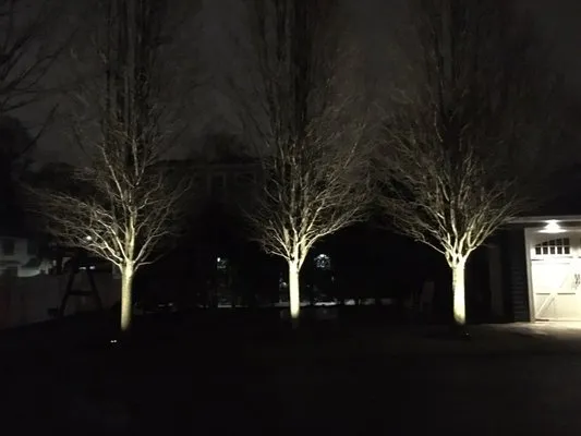 Doherty Landscaping Logo