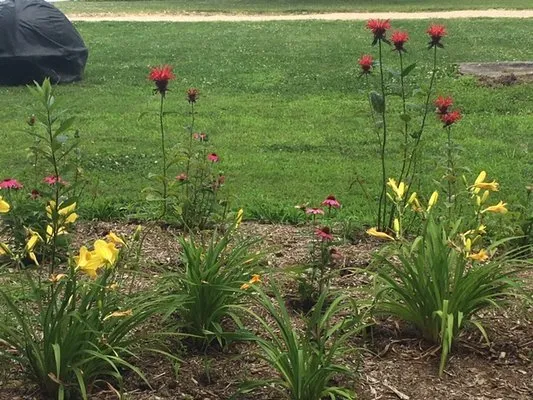 Dohne's Landscape Services