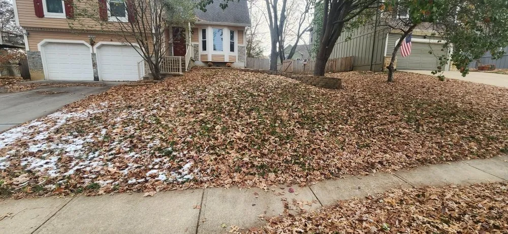 Expert outdoor landscaping experts serving Kansas City, KS - Doin it major