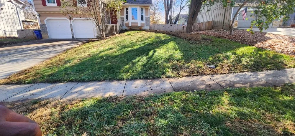 Trusted landscaping services in Kansas City, KS by Doin it major