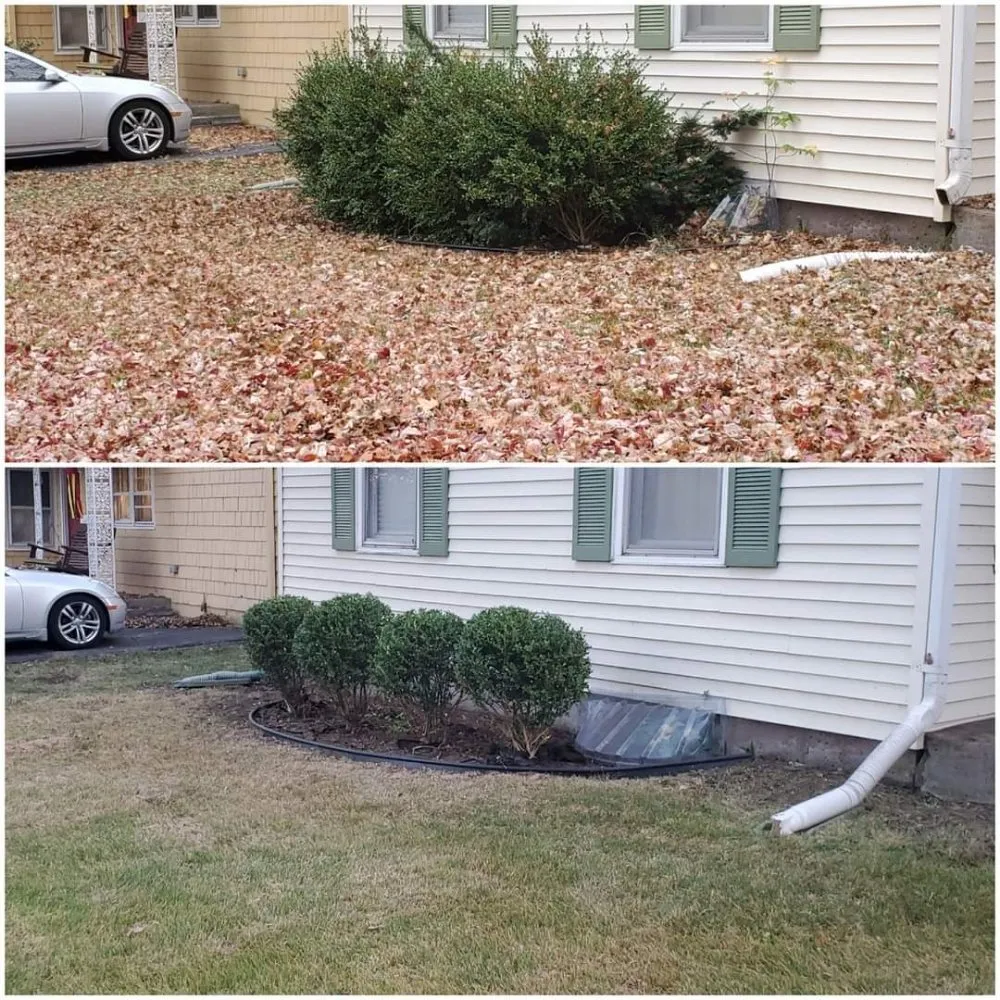 Expert landscape installation for outdoor upgrades across Kansas City, KS - Doin it major
