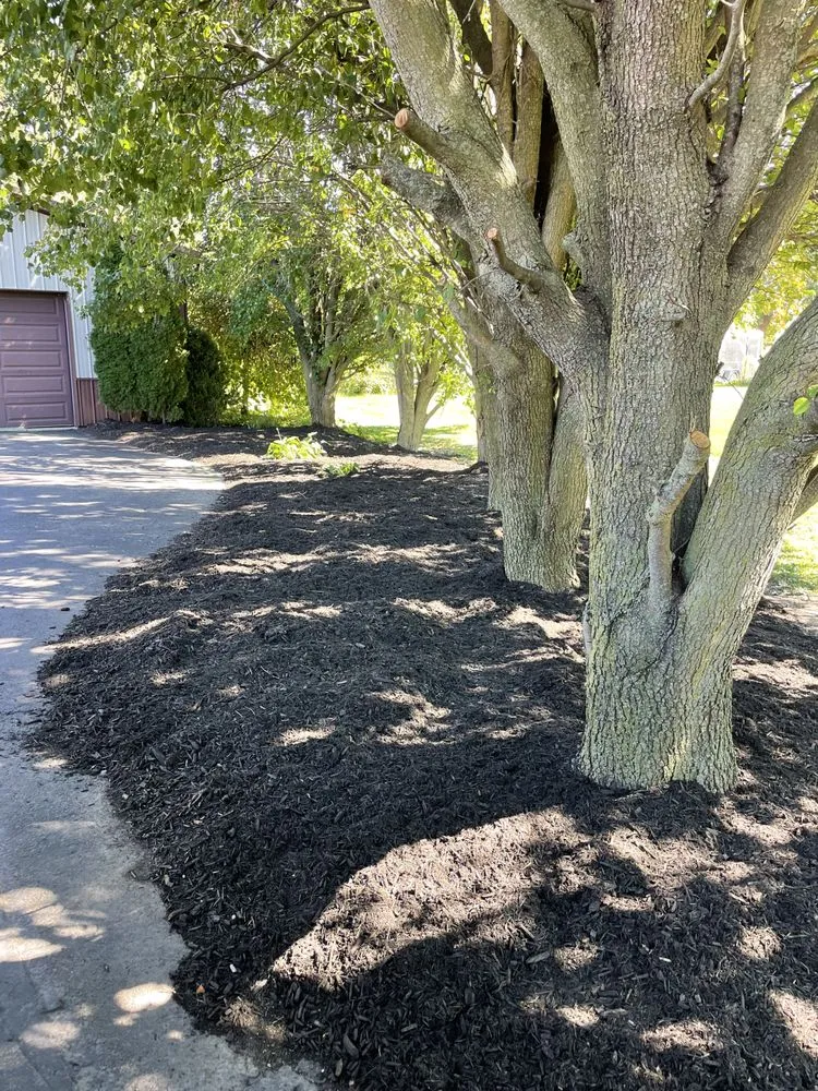 Reliable yard cleanup service in Frankfort, IN - Doin’ It Wells Services