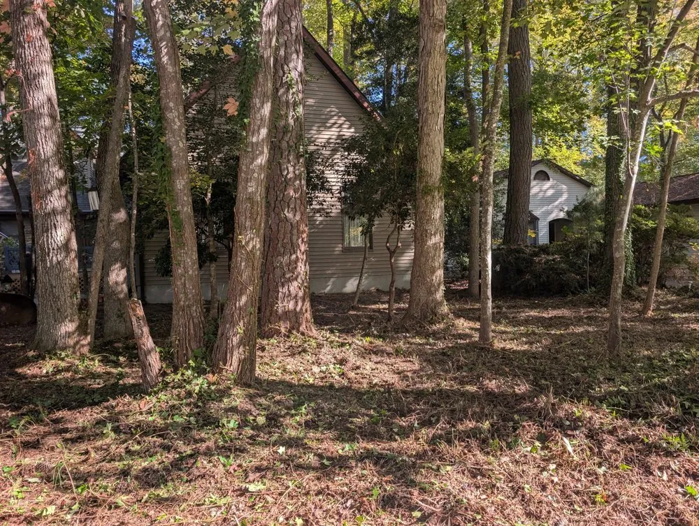 Custom landscaping services with custom design across Delmar, MD - Doin' Moore Lawn Care