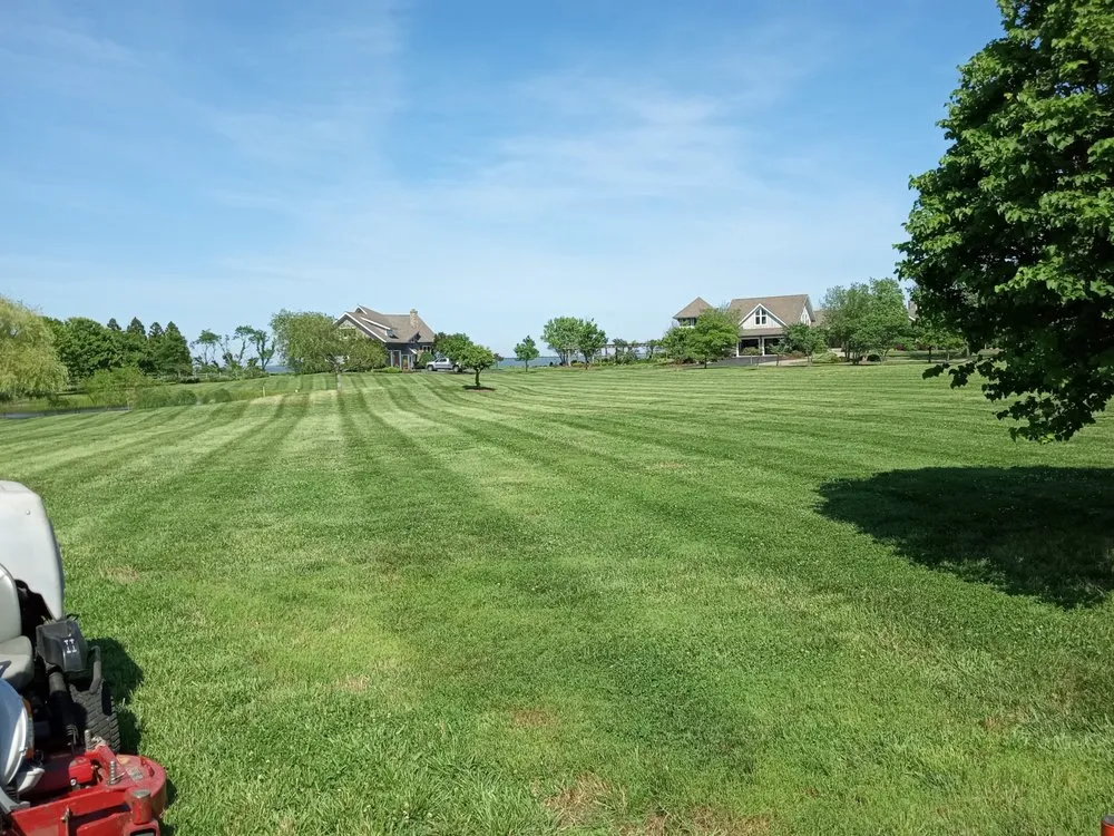 Affordable yard maintenance for residential properties in Delmar, MD by Doin' Moore Lawn Care