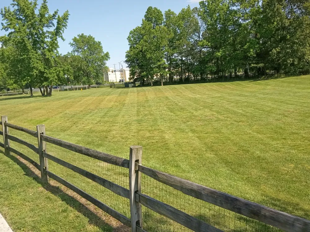 Trusted yard cleanup service with custom design in Delmar, MD by Doin' Moore Lawn Care