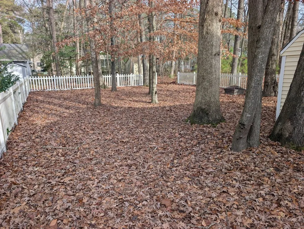 Affordable yard maintenance in Delmar, MD by Doin' Moore Lawn Care