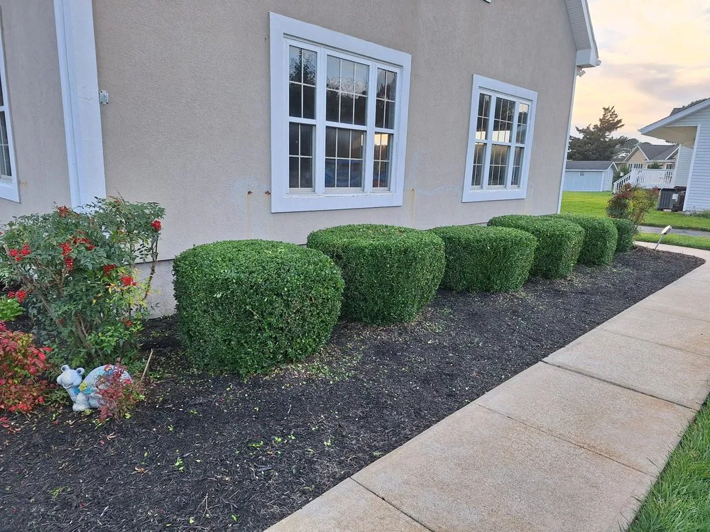 Local landscaping services in Delmar, MD by Doin' Moore Lawn Care