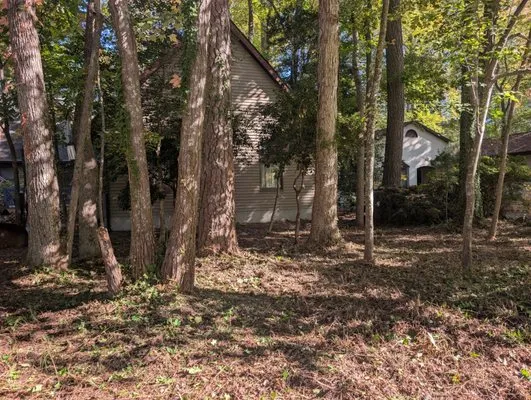 Doin' Moore Lawn Care