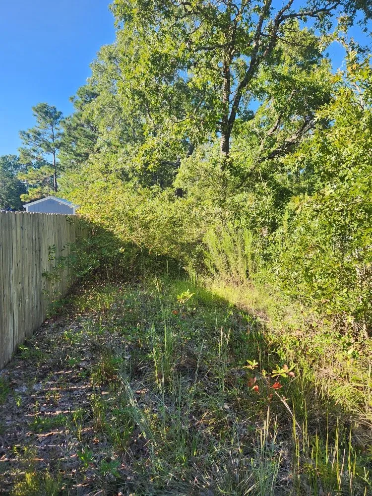 Expert outdoor landscaping for homes in Winnabow, NC by Doing It Right Lawn Care & More