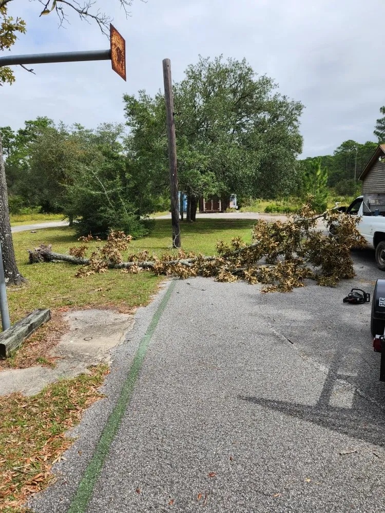Professional yard maintenance with custom design across Winnabow, NC - Doing It Right Lawn Care & More