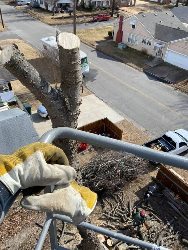 Trusted landscaping services experts serving Muskogee, OK - Doke's Lawn Service