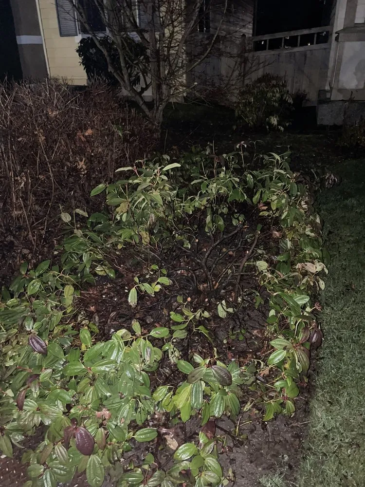 Trusted lawn care service in Bellingham, WA by Dolan Dynamic Landscaping