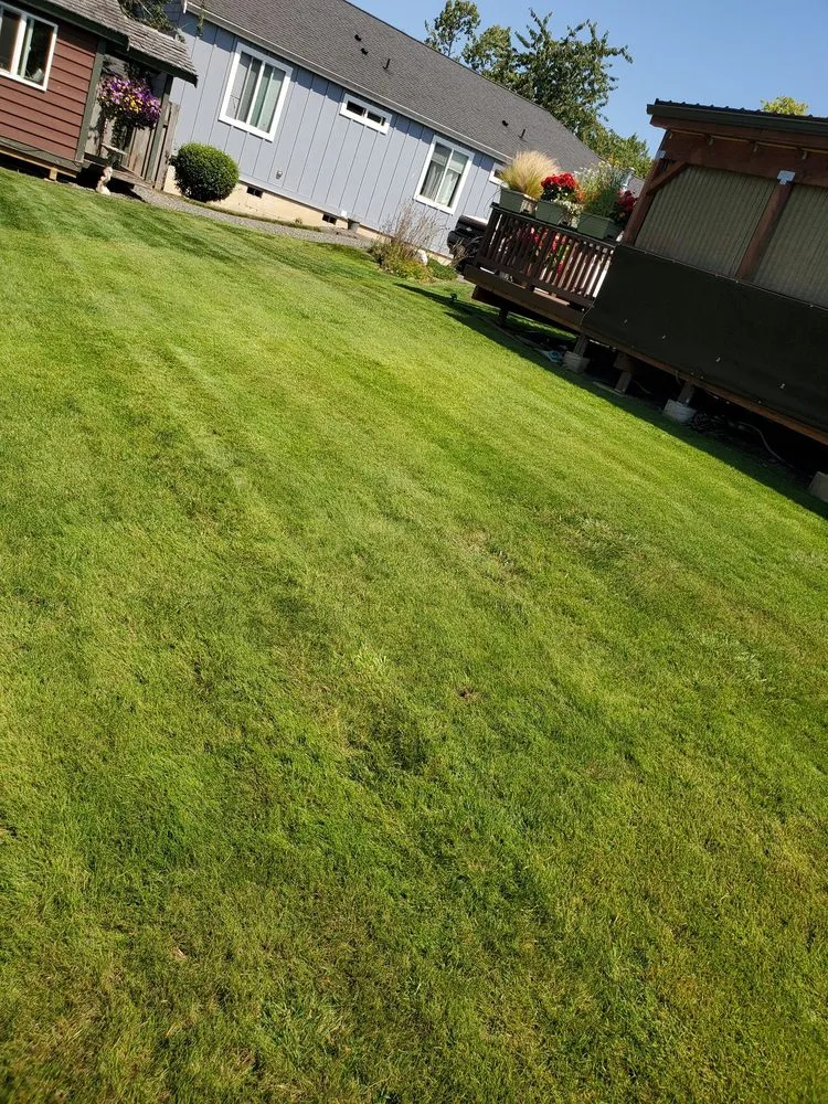 Local yard maintenance for homes across Bellingham, WA - Dolan Dynamic Landscaping