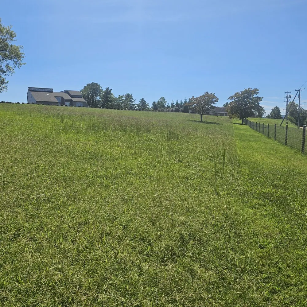 Expert lawn care service with custom design in Lake Monticello, VA by Dolan Landscaping