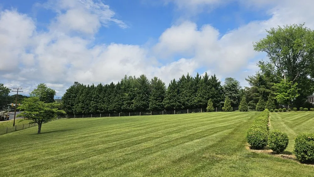 Affordable lawn mowing service with custom design across Lake Monticello, VA - Dolan Landscaping