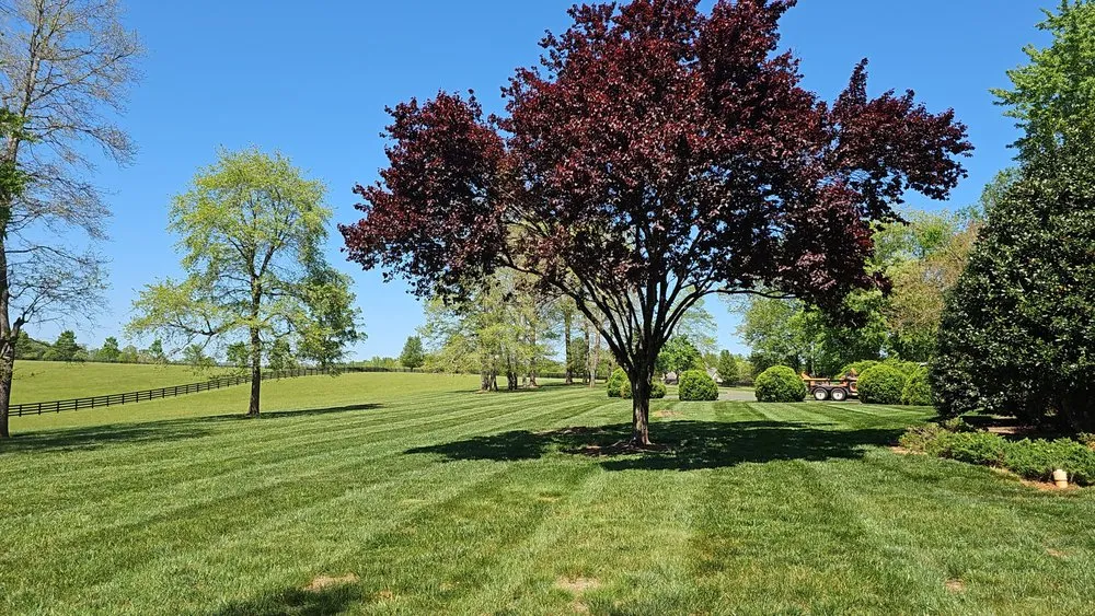 Affordable lawn care service in Lake Monticello, VA - Dolan Landscaping