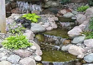 Top-rated landscaping services for year-round maintenance across Austin, MN - Dolan's Landscape Center