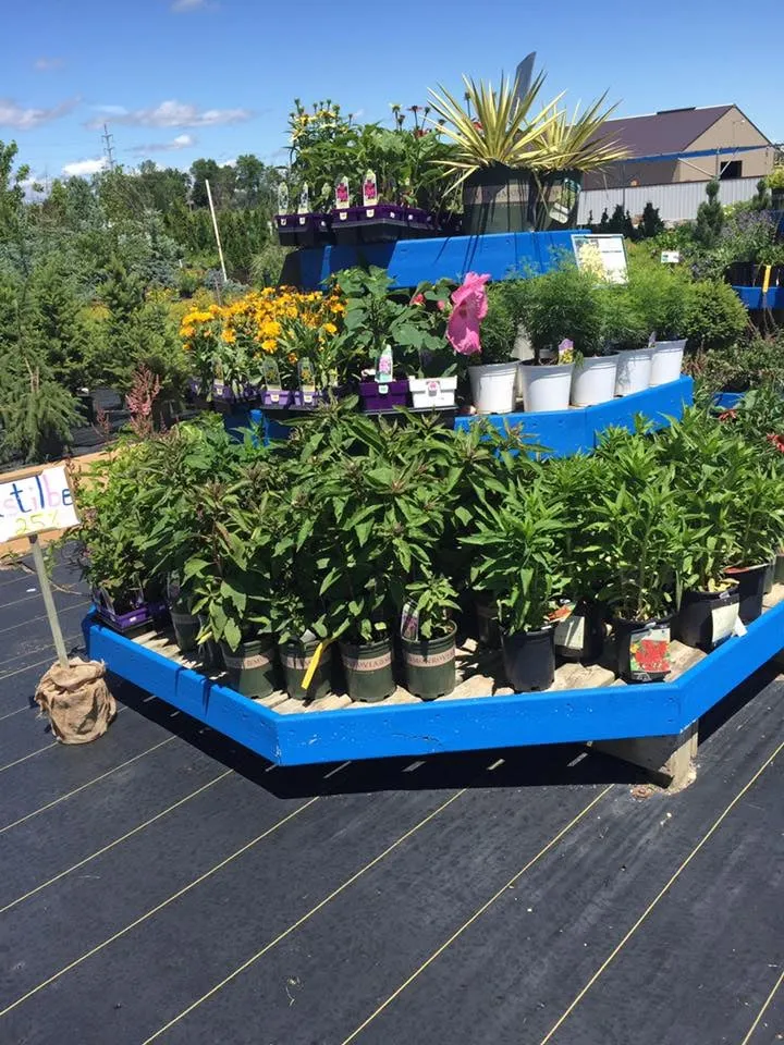 Reliable outdoor landscaping in Austin, MN - Dolan's Landscape Center