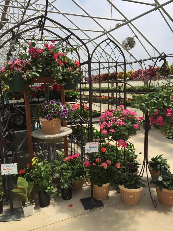 Expert outdoor landscaping for beautiful yards across Austin, MN - Dolan's Landscape Center