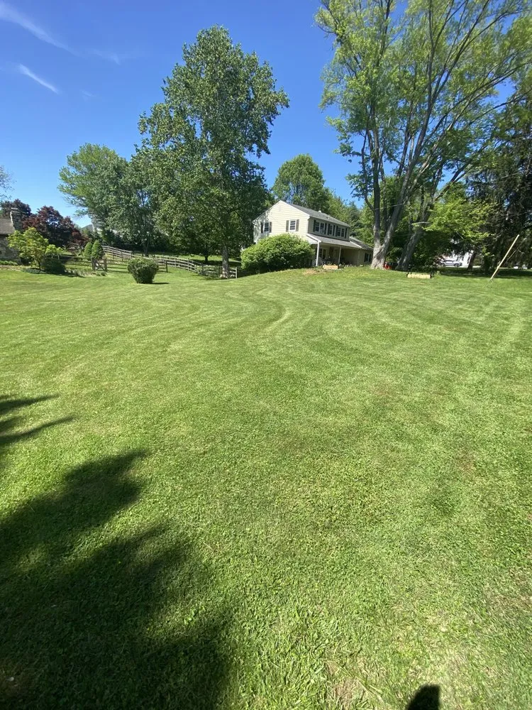 Professional lawn care service for year-round maintenance in West Chester, PA by Dolan’s Lawn Maintenance