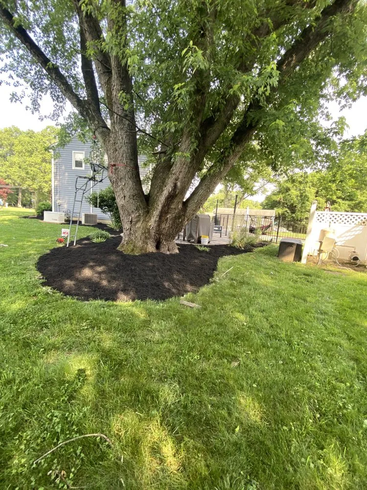 Custom lawn care service for residential properties across West Chester, PA - Dolan’s Lawn Maintenance