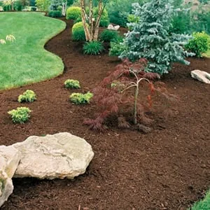 Affordable landscape installation in Washington, PA - Dolan's Outdoor Services