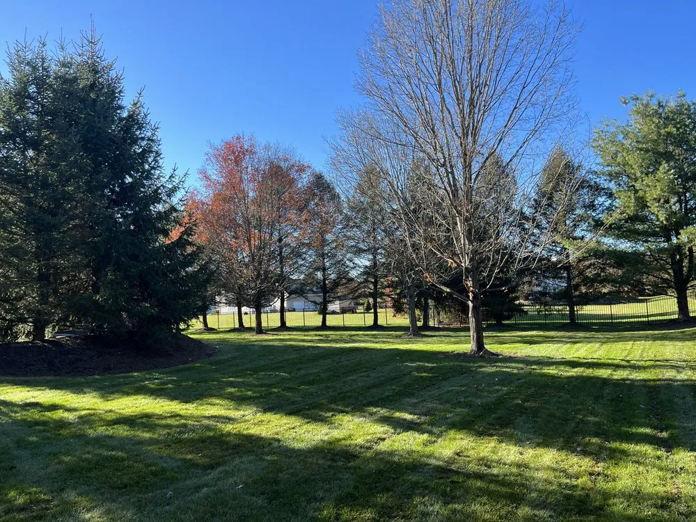 Expert yard maintenance in Denville, NJ by Dolce Landscaping