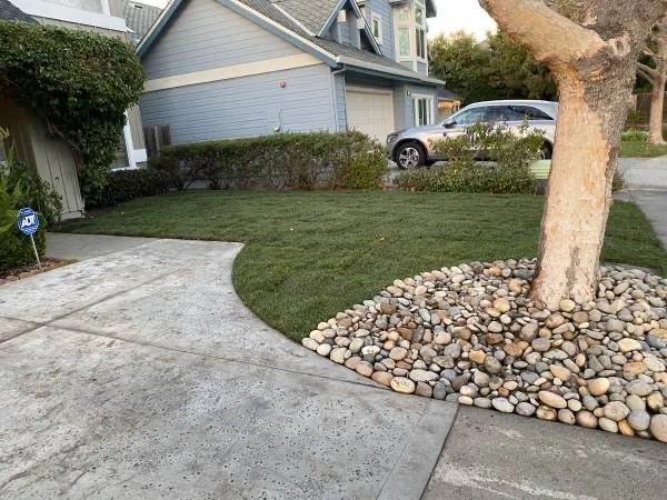 Top-rated outdoor landscaping in San Jose, CA by Dollar Landscape Fences & Junk Hauling