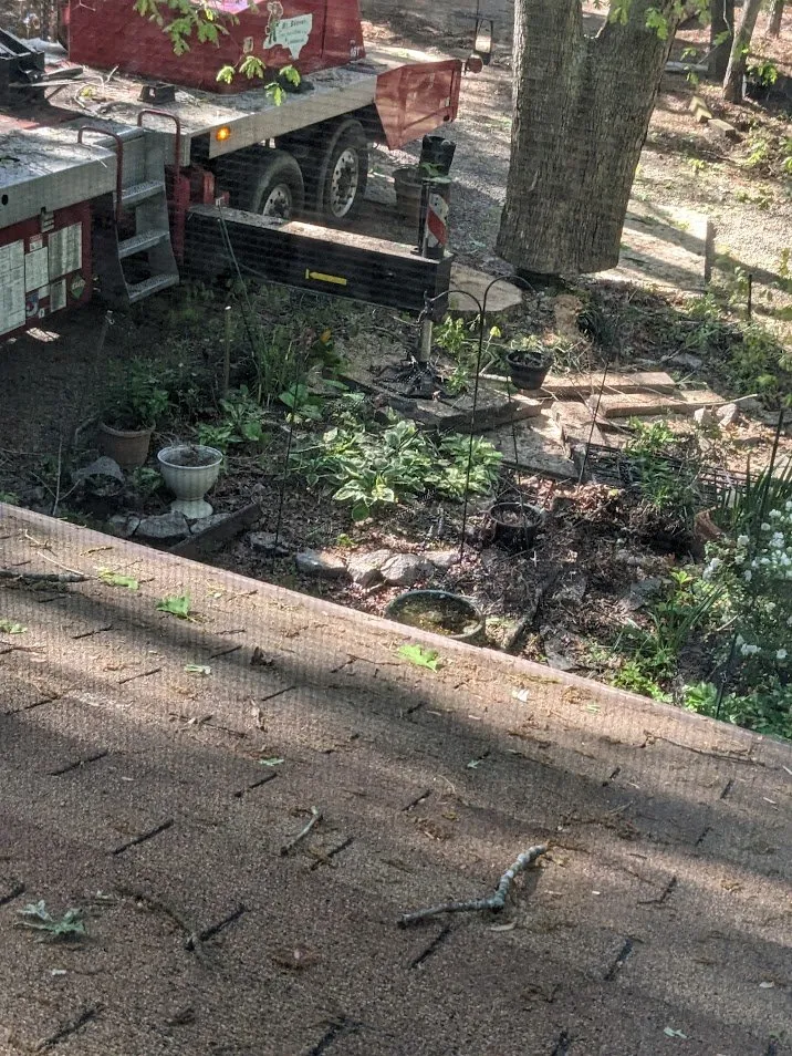 Expert garden landscaping for year-round maintenance across Raleigh, NC - Dolley Tree Service And Landscaping Co.