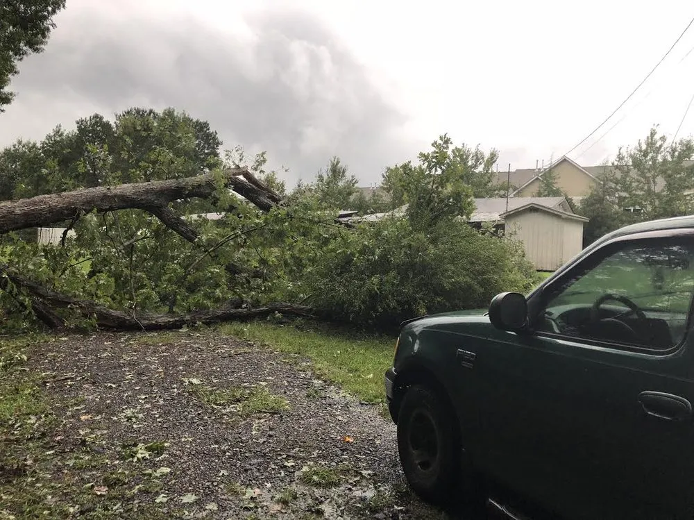 Custom yard cleanup service in Raleigh, NC by Dolley Tree Service And Landscaping Co.