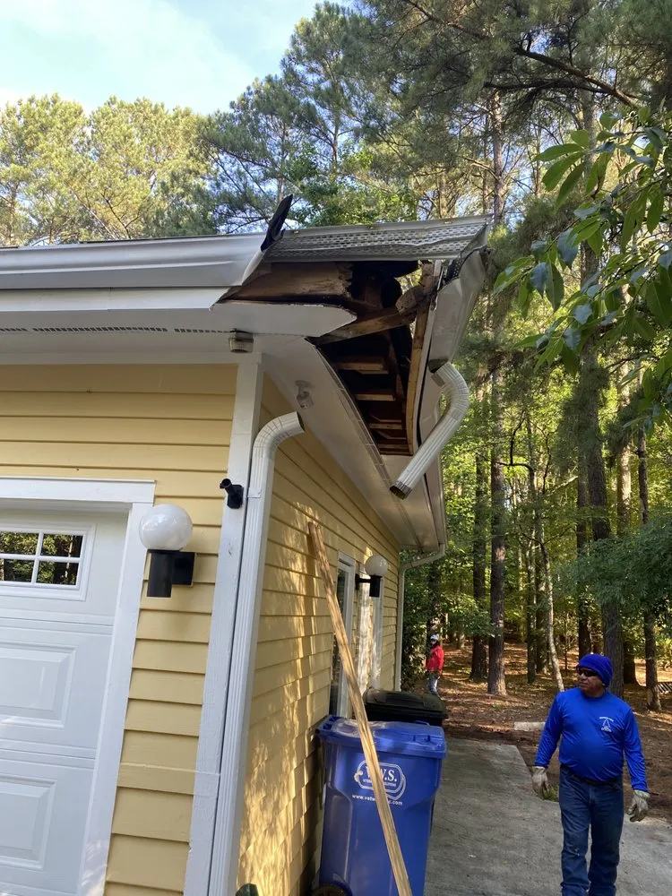 Expert yard cleanup service for year-round maintenance across Raleigh, NC - Dolley Tree Service And Landscaping Co.