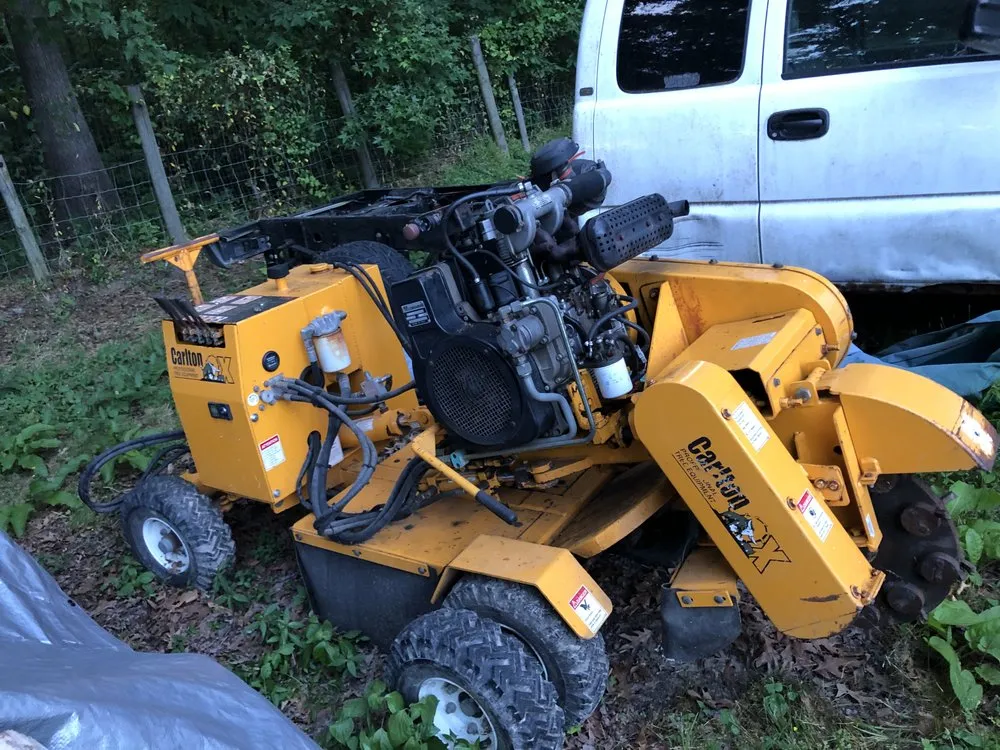 Custom lawn mowing service experts serving Raleigh, NC - Dolley Tree Service And Landscaping Co.