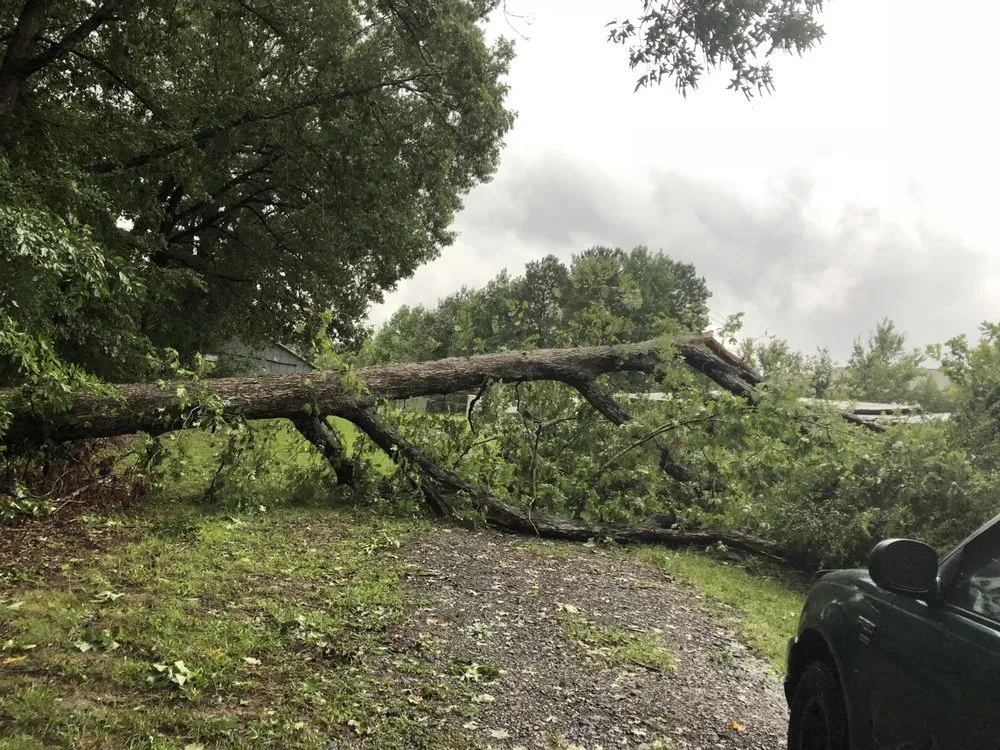 Affordable garden landscaping in Raleigh, NC - Dolley Tree Service And Landscaping Co.