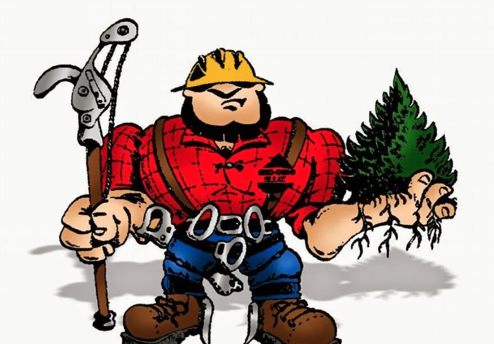 Trusted lawn mowing service for residential properties across Raleigh, NC - Dolley Tree Service And Landscaping Co.