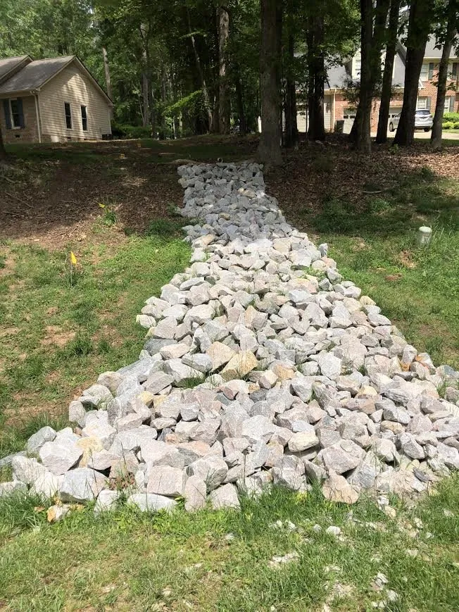 Custom yard cleanup service for year-round maintenance in Raleigh, NC by Dolley Tree Service And Landscaping Co.