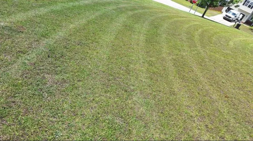 Top-rated residential landscaping for residential properties in Fuquay-Varina, NC by Dolo Lawn Care