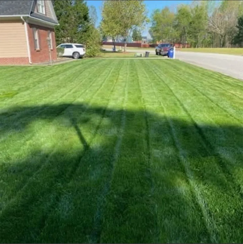 Expert residential landscaping experts serving Fuquay-Varina, NC - Dolo Lawn Care