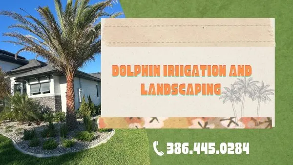 Dolphin Irrigation
