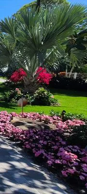 Dolphin Landscaping Logo