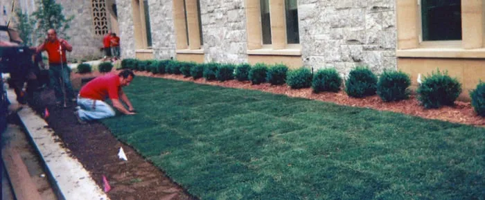 Custom landscape design experts serving Fairview, NJ - Dom Chiola Landscaping