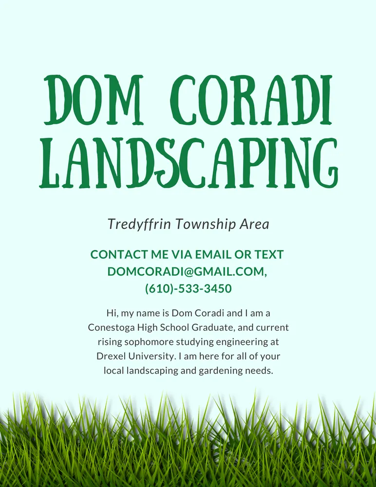 Trusted lawn care service for beautiful yards in Wayne, PA by Dom Coradi Landscaping