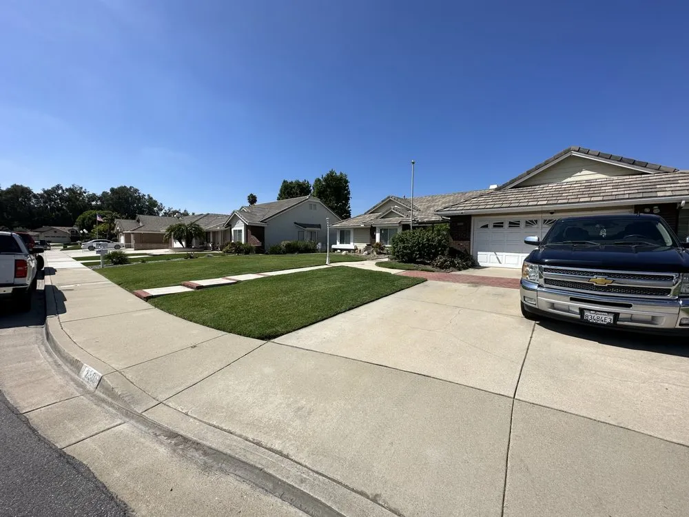 Expert yard maintenance near you across La Verne, CA - Dom Legend Lawn Care