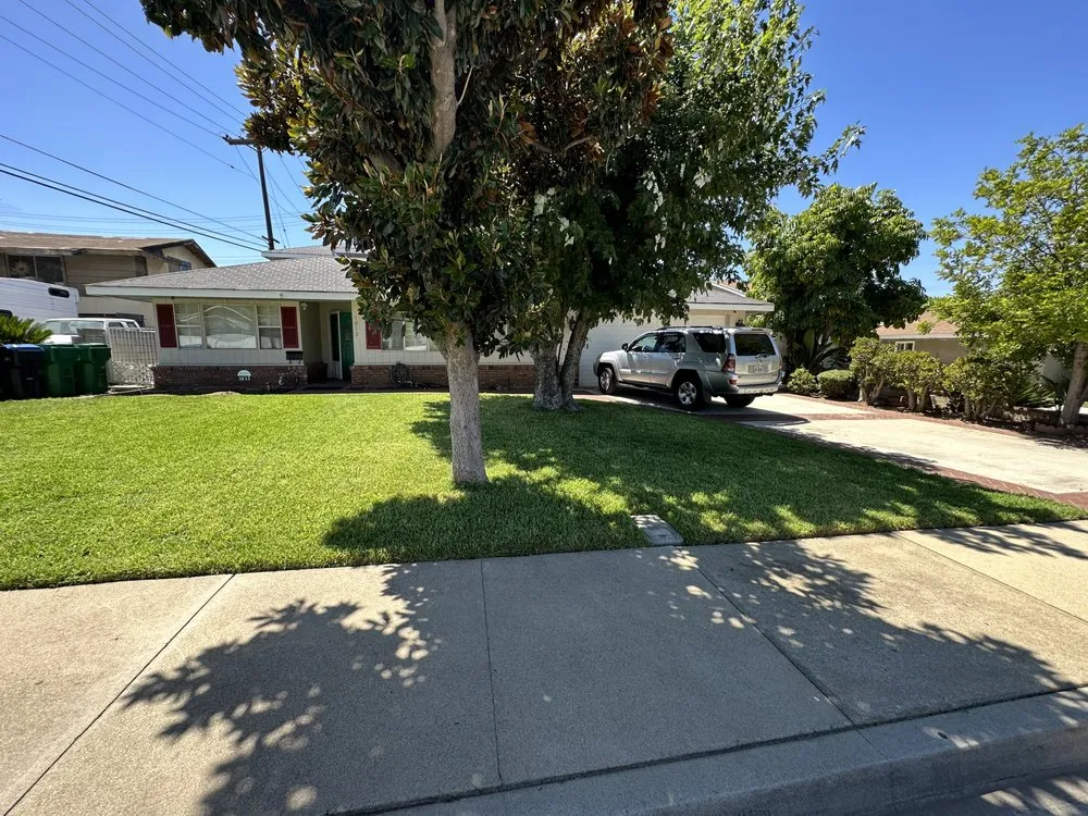 Reliable landscape installation in La Verne, CA - Dom Legend Lawn Care