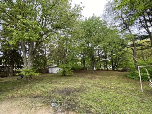 Dom N Gavin Lawn Service Logo