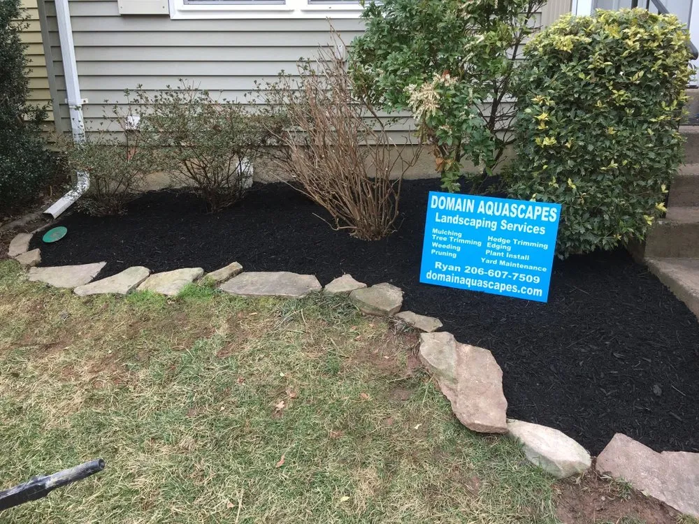 Affordable lawn care service in Arlington, VA - Domain Aquascapes
