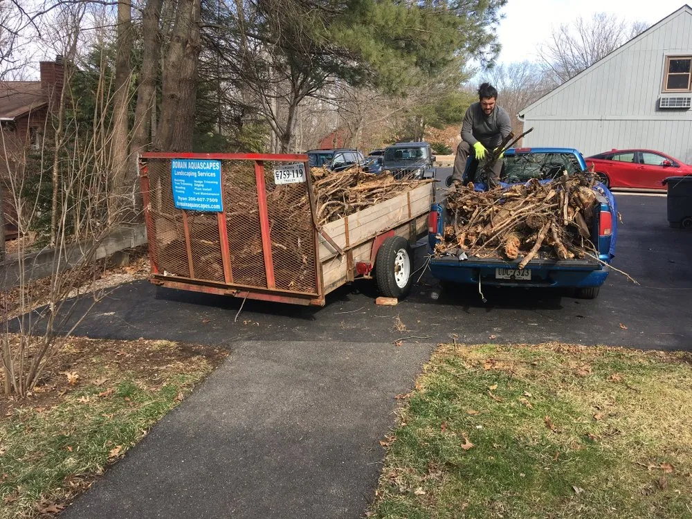 Affordable yard maintenance experts serving Arlington, VA - Domain Aquascapes