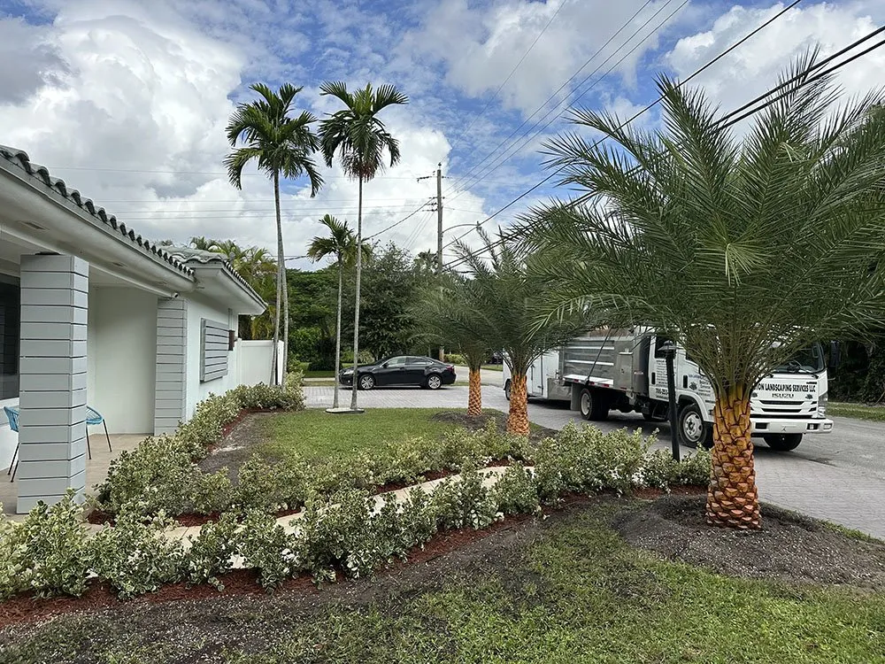 Custom lawn mowing service near you across Hollywood, FL - Domain Dynamics