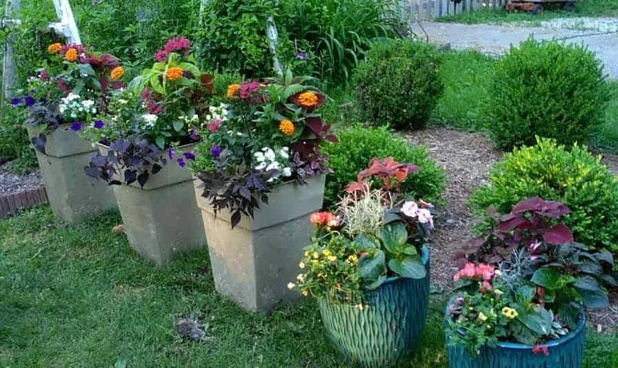 Affordable lawn care service for residential properties across Ooltewah, TN - Doman's Landscape and Construction